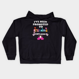 I have been promoted to Grandma Kids Hoodie